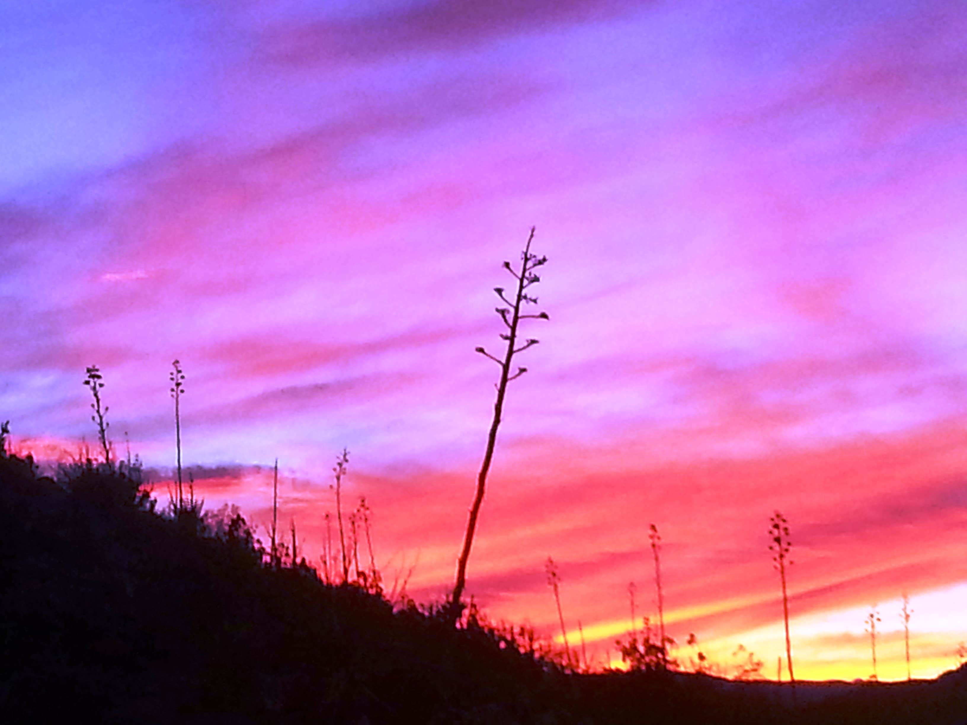 Camper-submitted photo at Stagecoach Trails Resort near Ranchita, CA