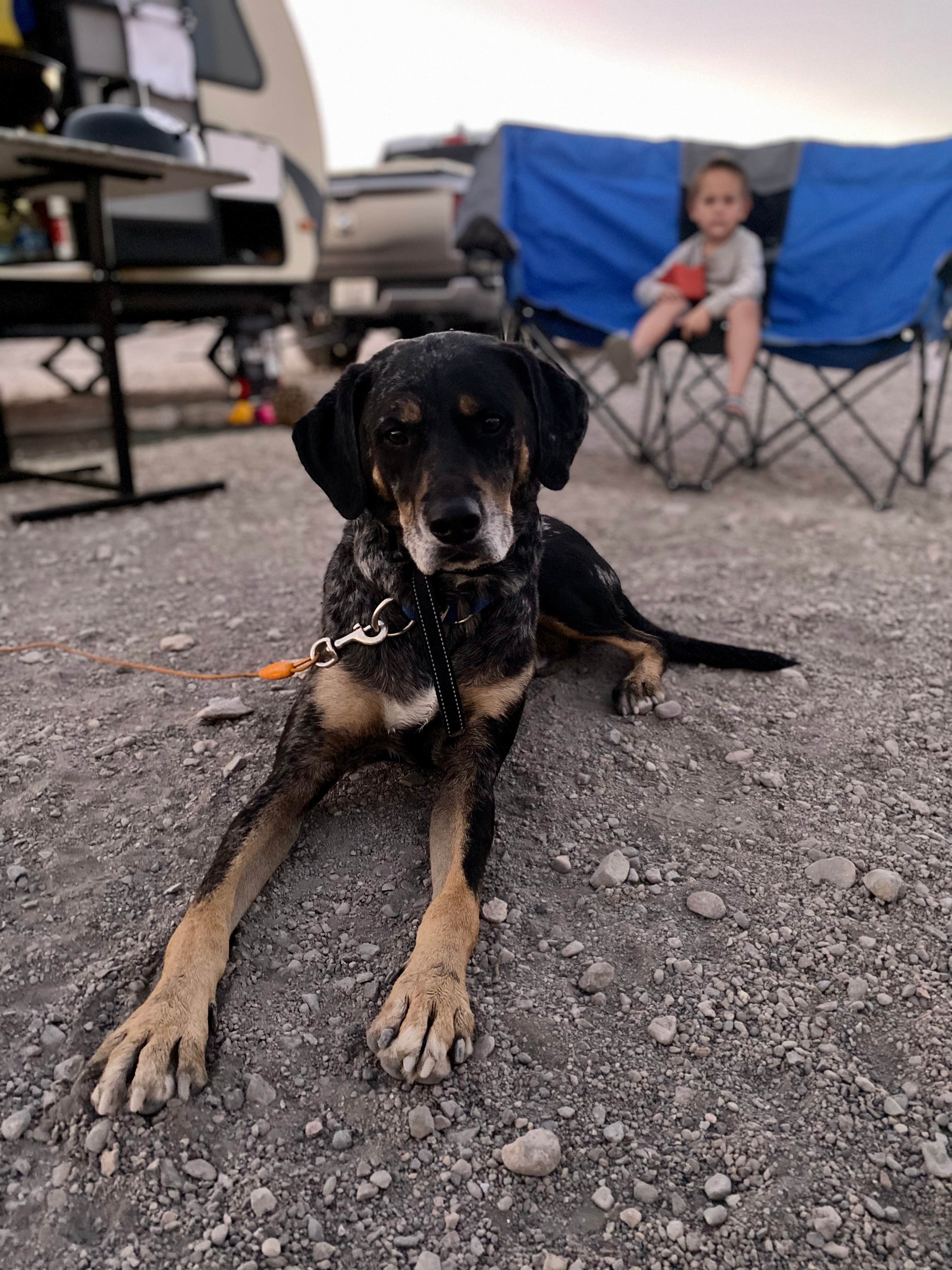 Camper-submitted photo at Government Wash — Lake Mead National Recreation Area near Las Vegas, NV