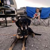 Review photo of Government Wash — Lake Mead National Recreation Area by Jamie C., November 12, 2019