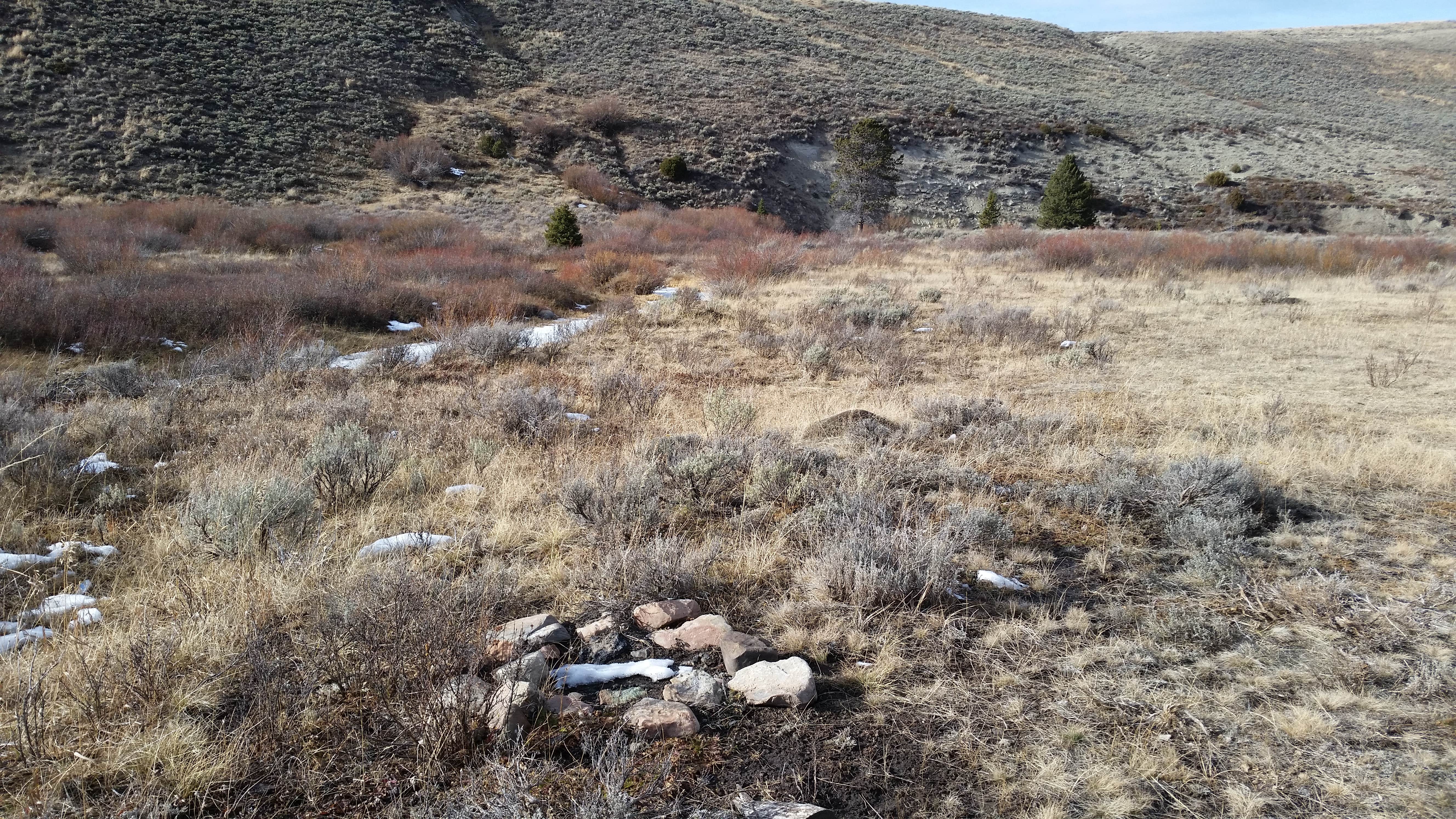 Camper-submitted photo at 6100X Dispersed Camping Area near Lima, MT