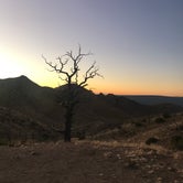 Review photo of Mid Hills Campground — Mojave National Preserve by Jamie C., November 16, 2019