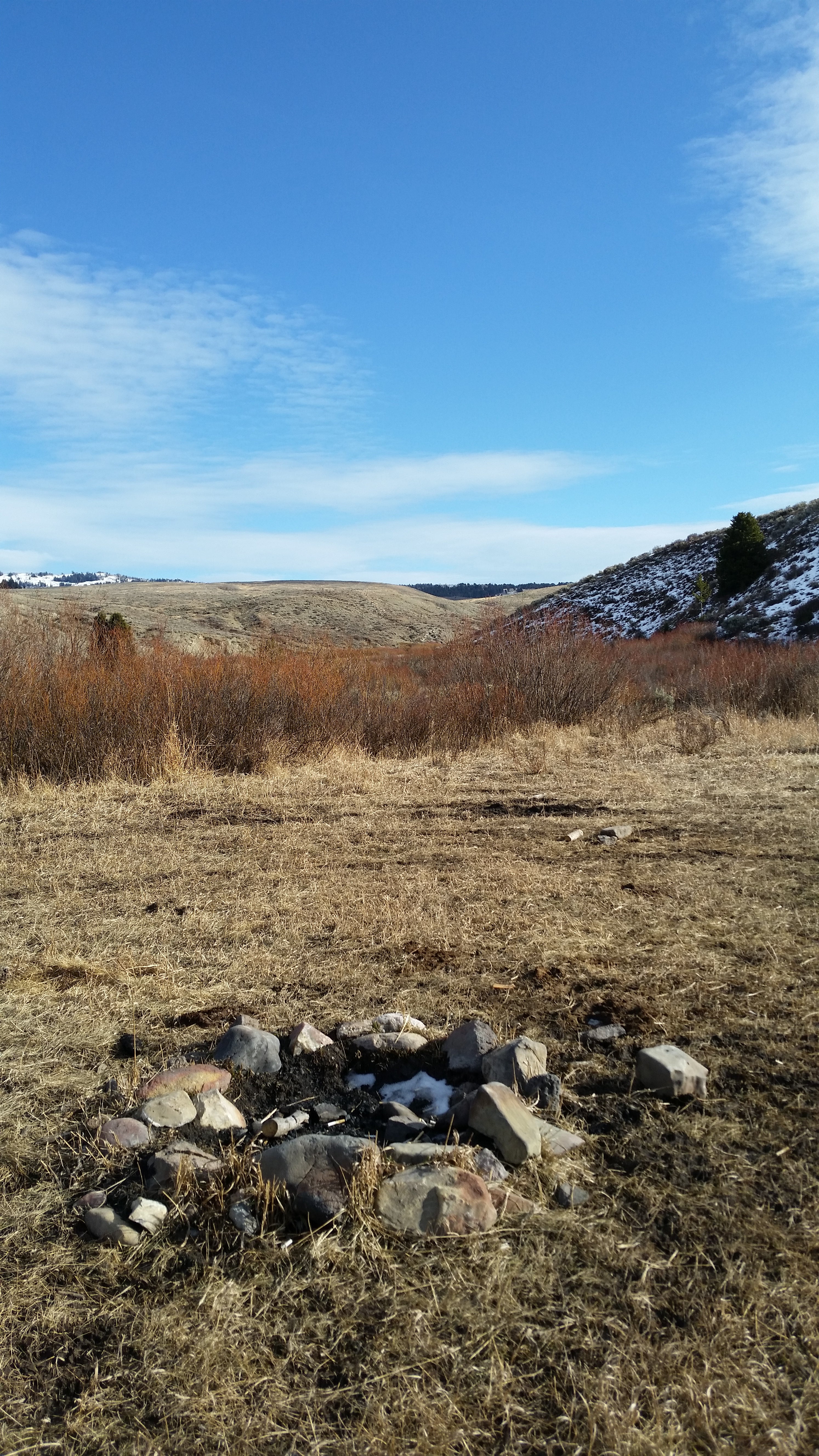 Camper submitted image from Coal Creek Dispersed Camping Area - 3