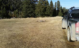 Dexter I.'s photo at 6100N Dispersed Camping Area in Montana