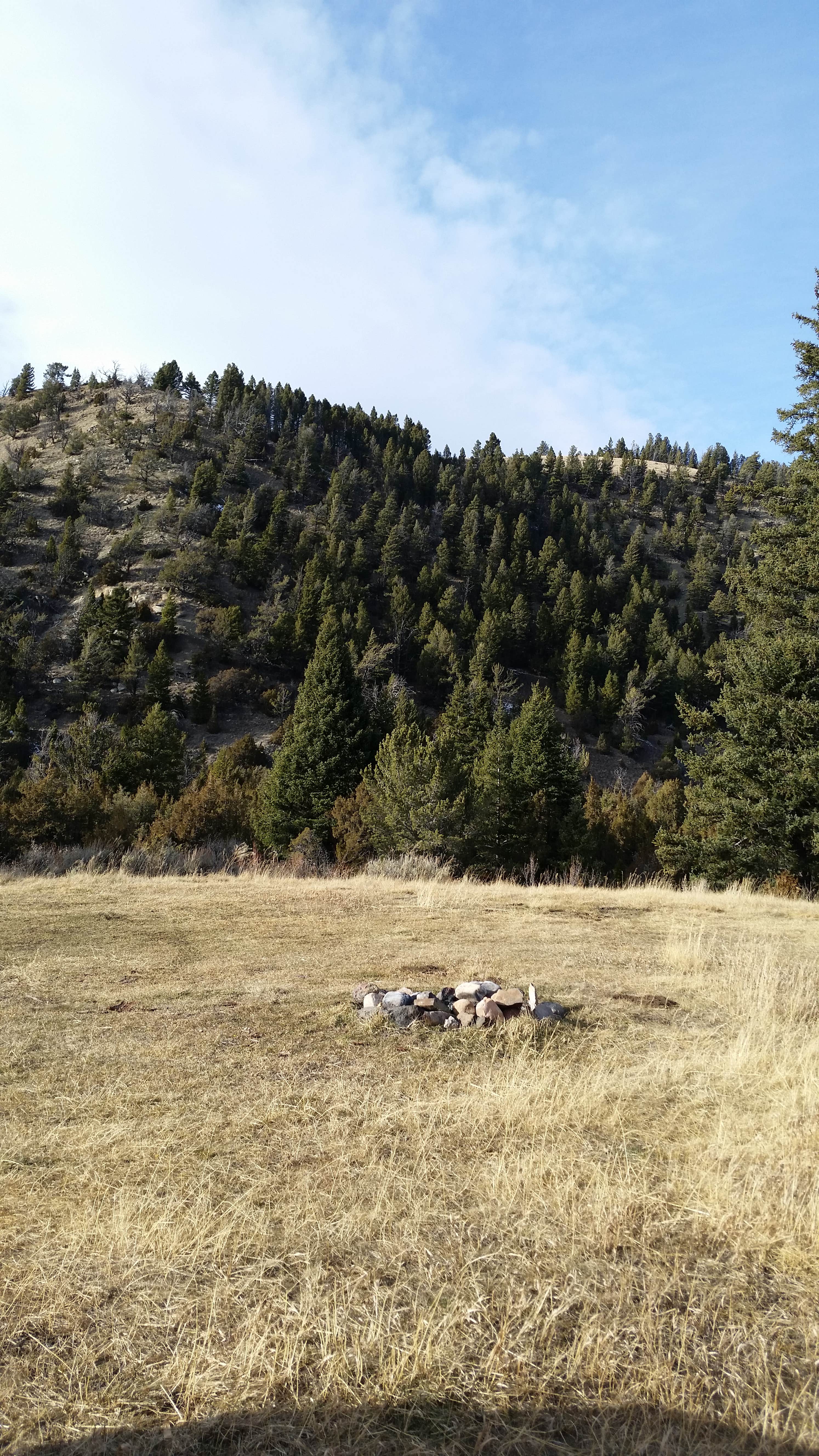 Camper-submitted photo at 6100N Dispersed Camping Area near Lima, MT