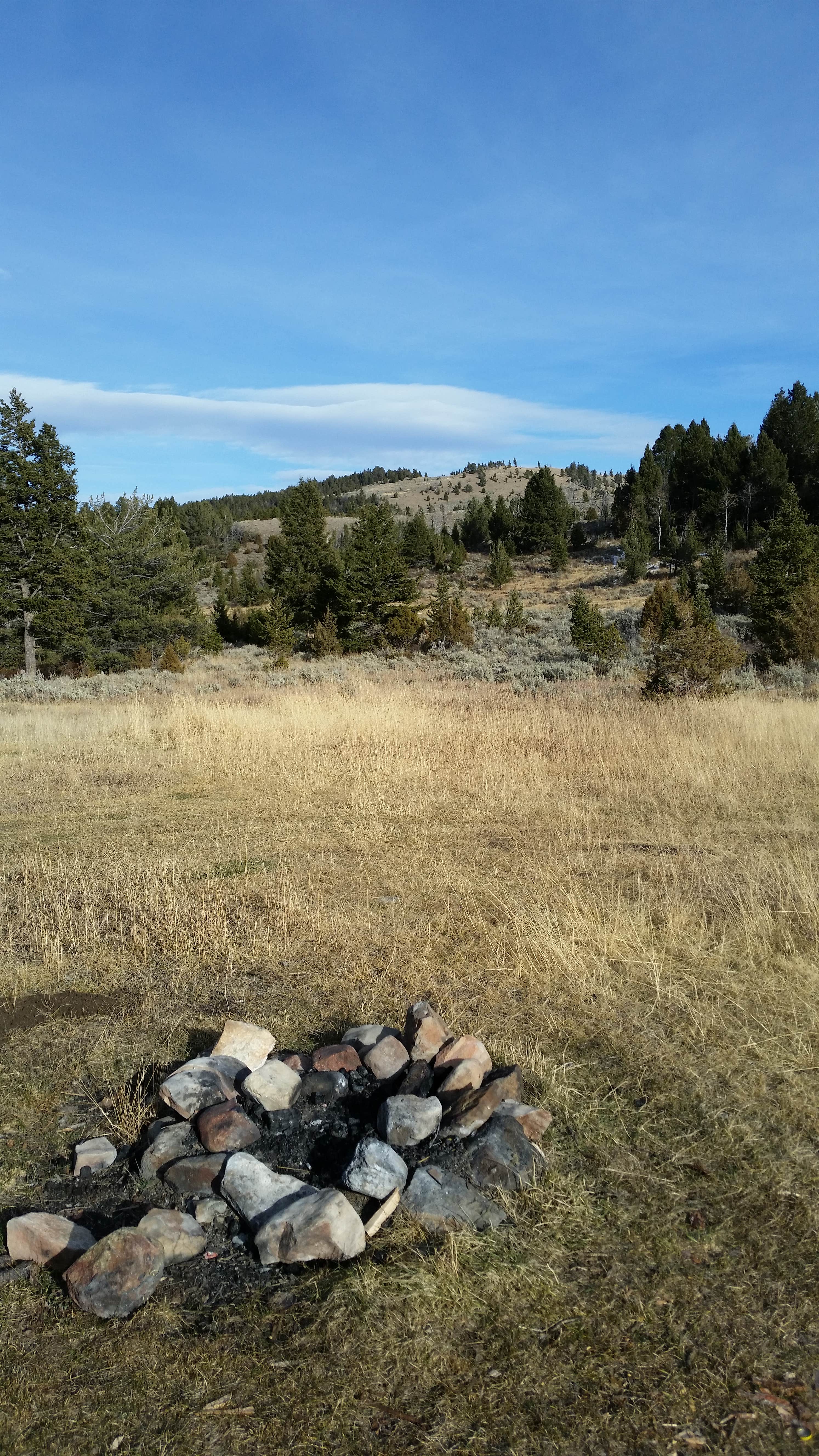 Camper-submitted photo at 6100N Dispersed Camping Area near Lima, MT