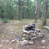 Review photo of Pinhoti Trail Backcountry Campground — Cheaha State Park by Asher K., August 22, 2017