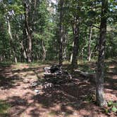 Review photo of Pinhoti Trail Backcountry Campground — Cheaha State Park by Asher K., August 22, 2017