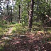 Review photo of Pinhoti Trail Backcountry Campground — Cheaha State Park by Asher K., August 22, 2017