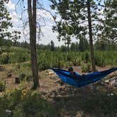 Review photo of Scab Creek Small Vehicle Campground by Carrie C., August 22, 2017