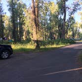 Review photo of Gros Ventre Campground — Grand Teton National Park by Danielle V., August 22, 2017