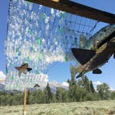 Review photo of Gros Ventre Campground — Grand Teton National Park by Danielle V., August 22, 2017
