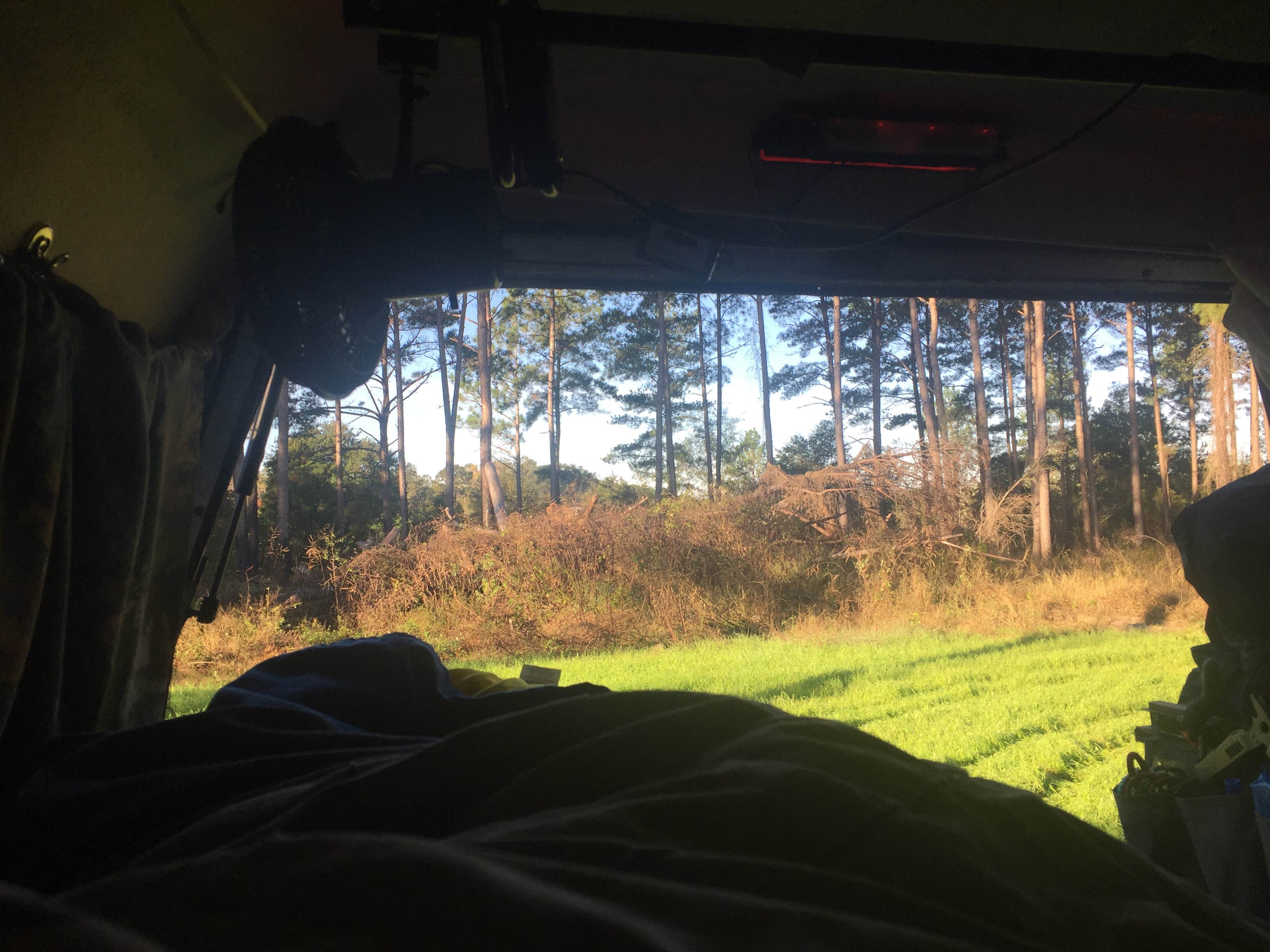 Camping near Love's RV Stop-Cordele GA 801: Flint River WMA, Montezuma, Georgia