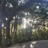 Review photo of Highlands Hammock State Park Campground by James L., November 16, 2019
