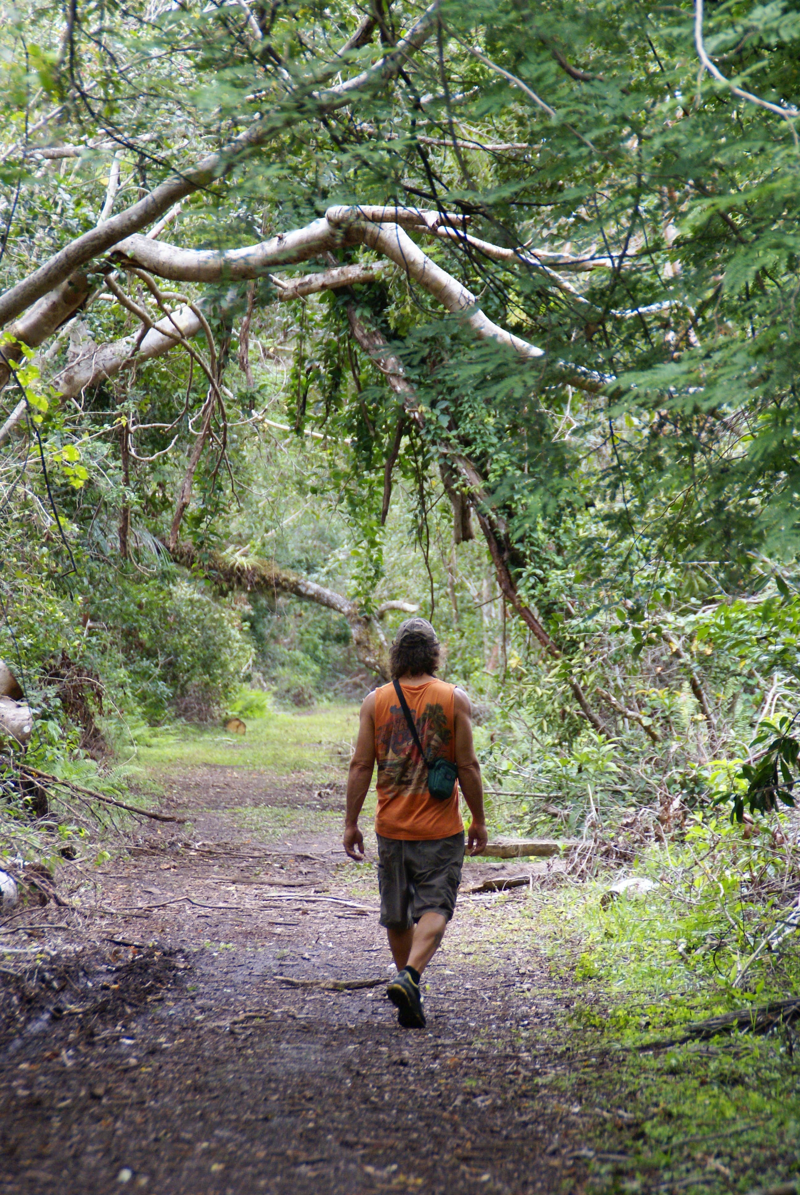 Camper submitted image from Alexander Springs Recreation Area - 5