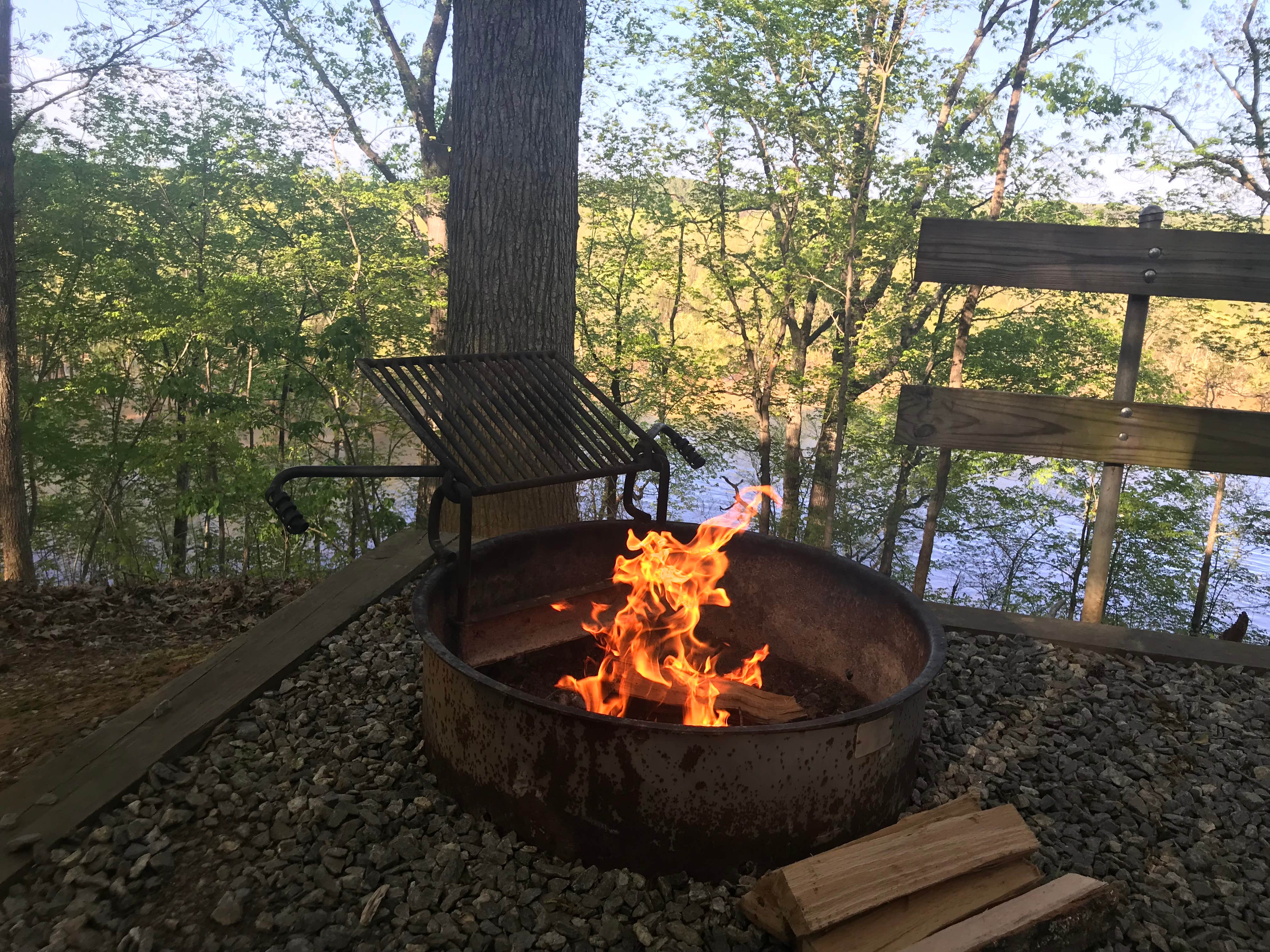 Camper submitted image from Staunton River State Park Campground - 4