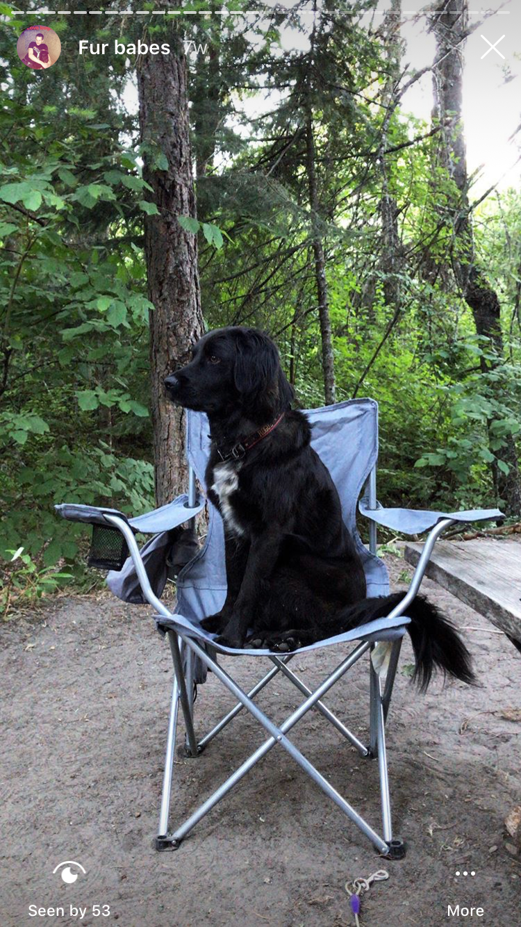 Brandi B.'s photo of camping with pets at Toll Bridge Park Campground near Hood River, OR