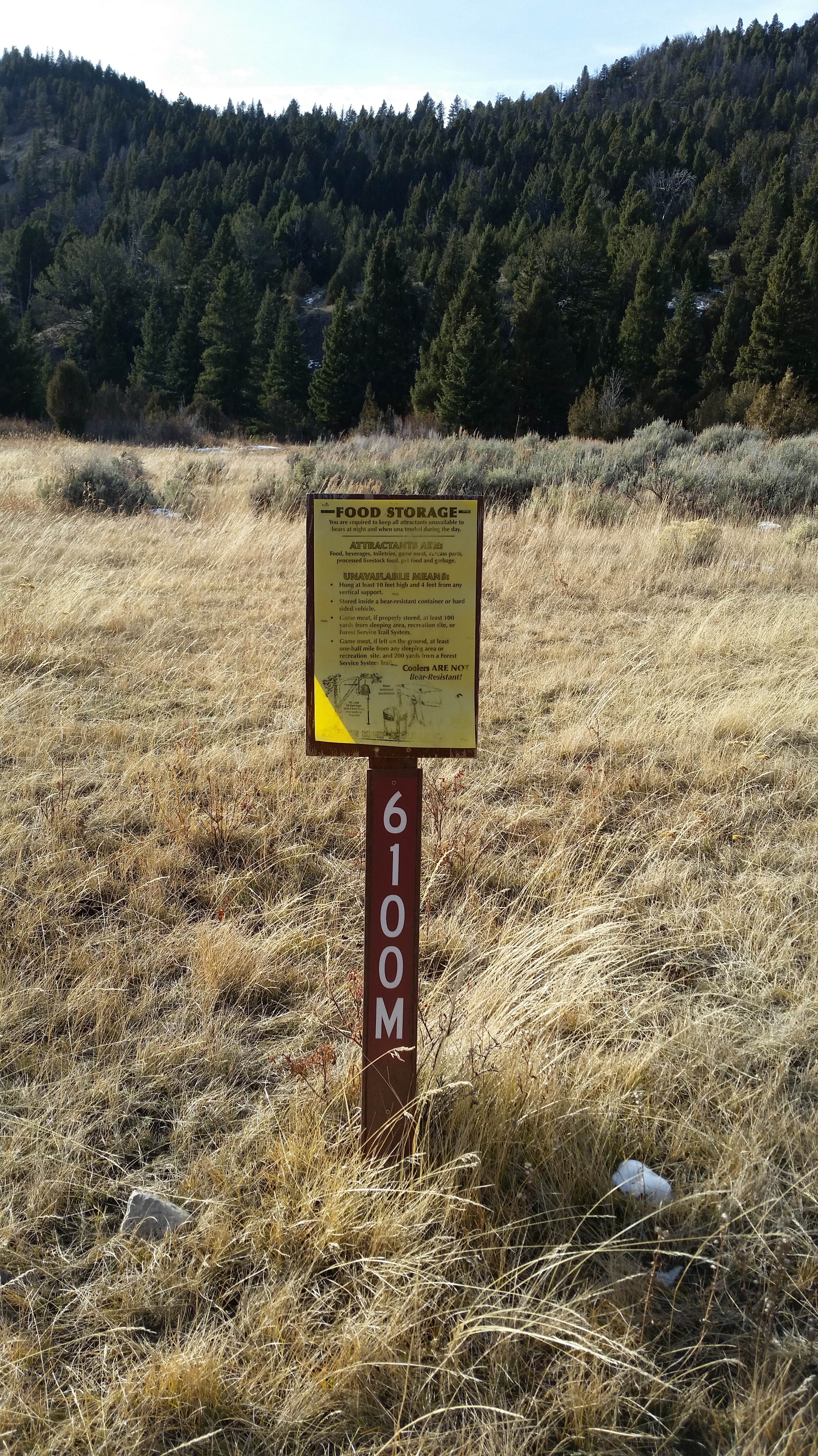Camper submitted image from 6100M Dispersed Camping Area - 3