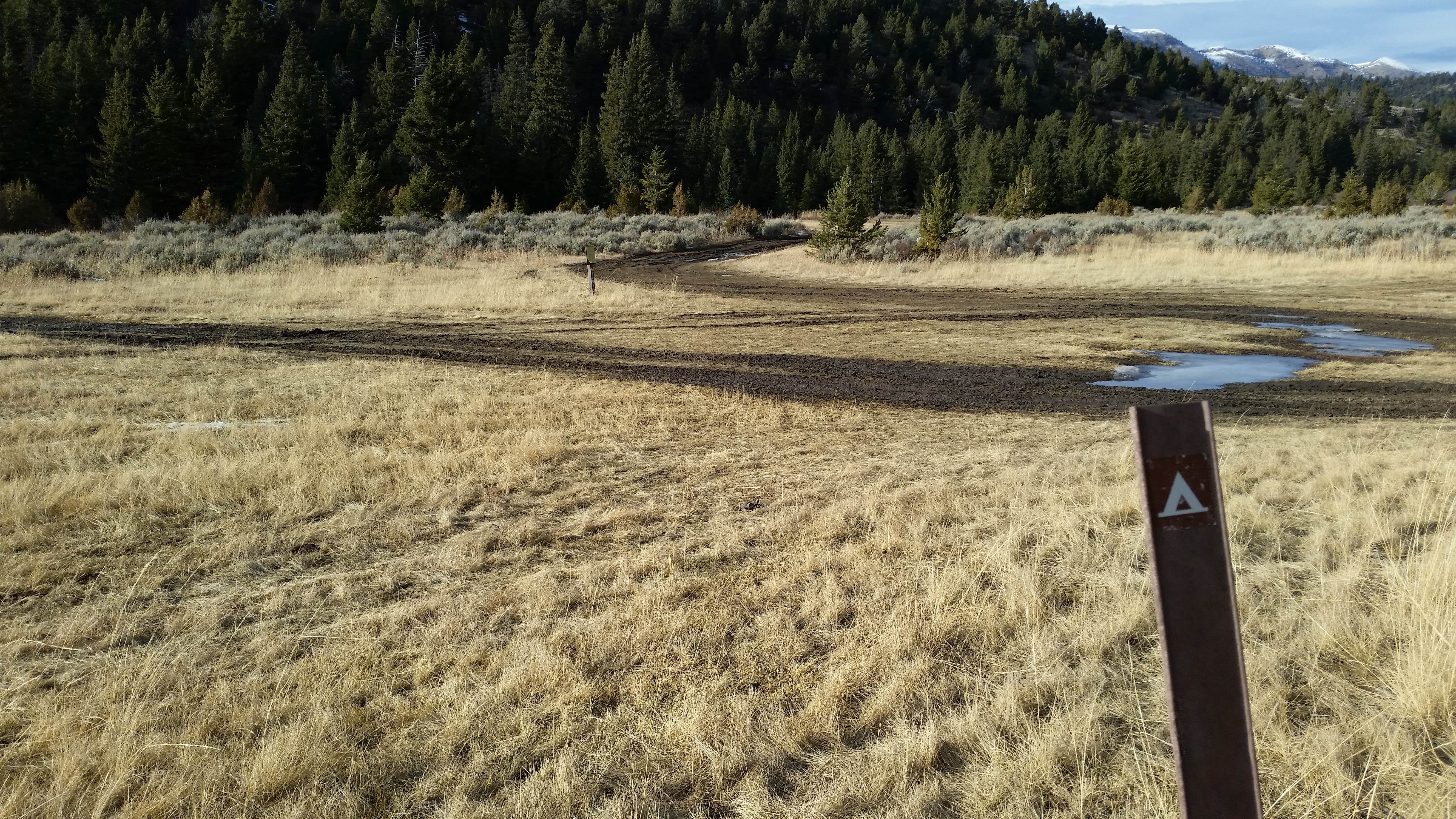 Camper-submitted photo at 6100M Dispersed Camping Area near Dillon, MT