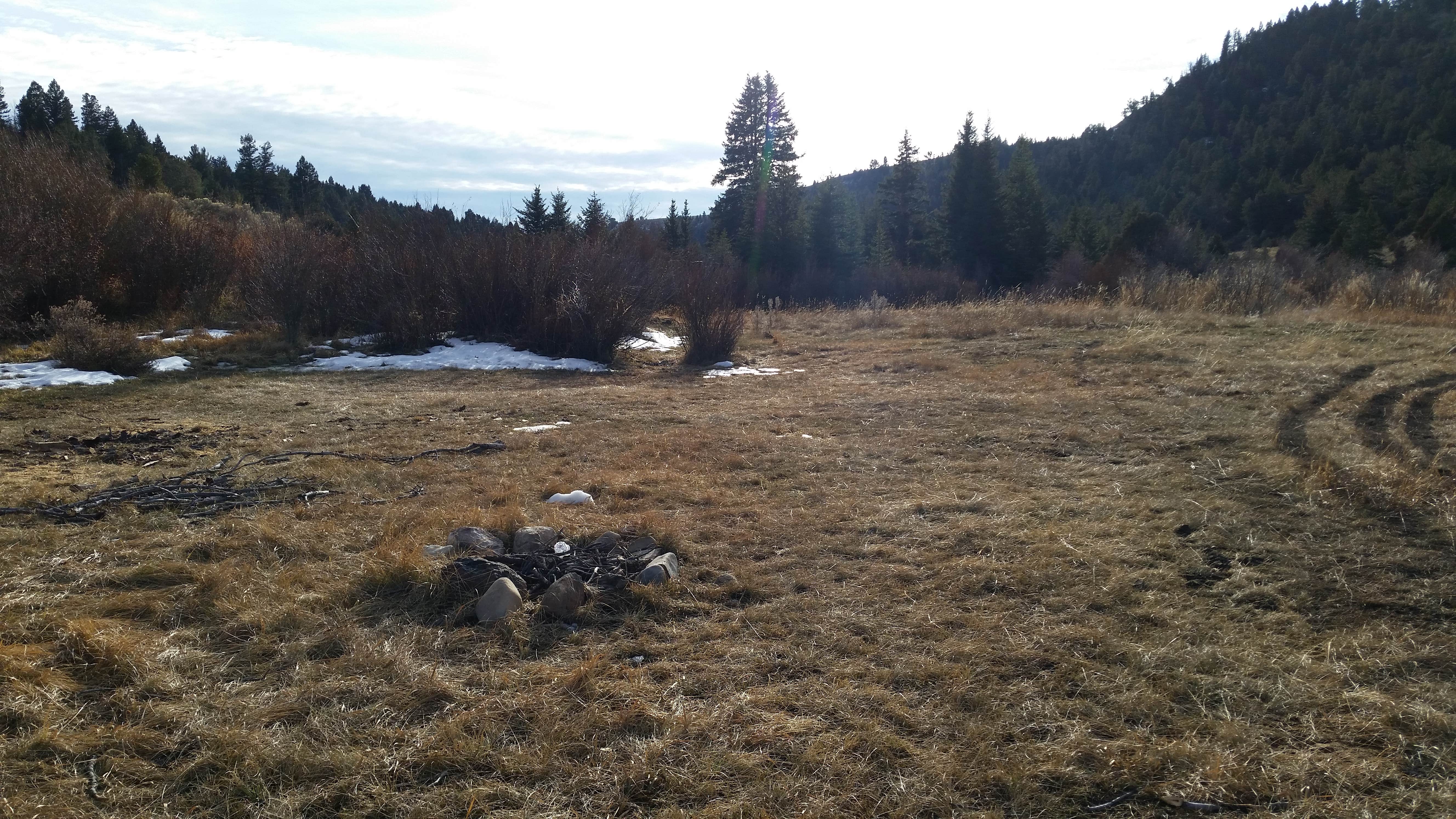 Camper-submitted photo at 6100M Dispersed Camping Area near Dillon, MT