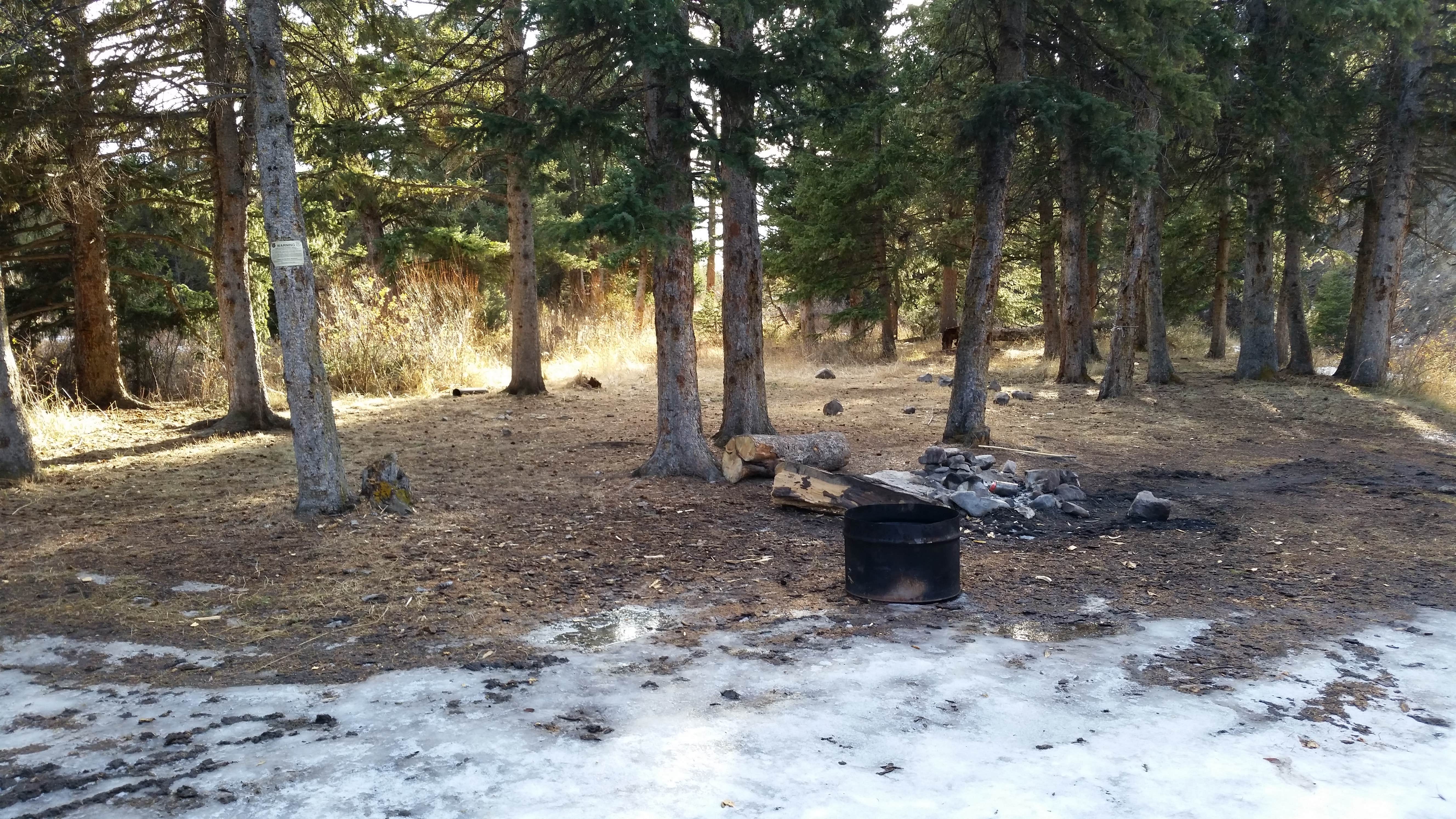 Dexter I.'s photo at 6100M Dispersed Camping Area near Virginia City, MT