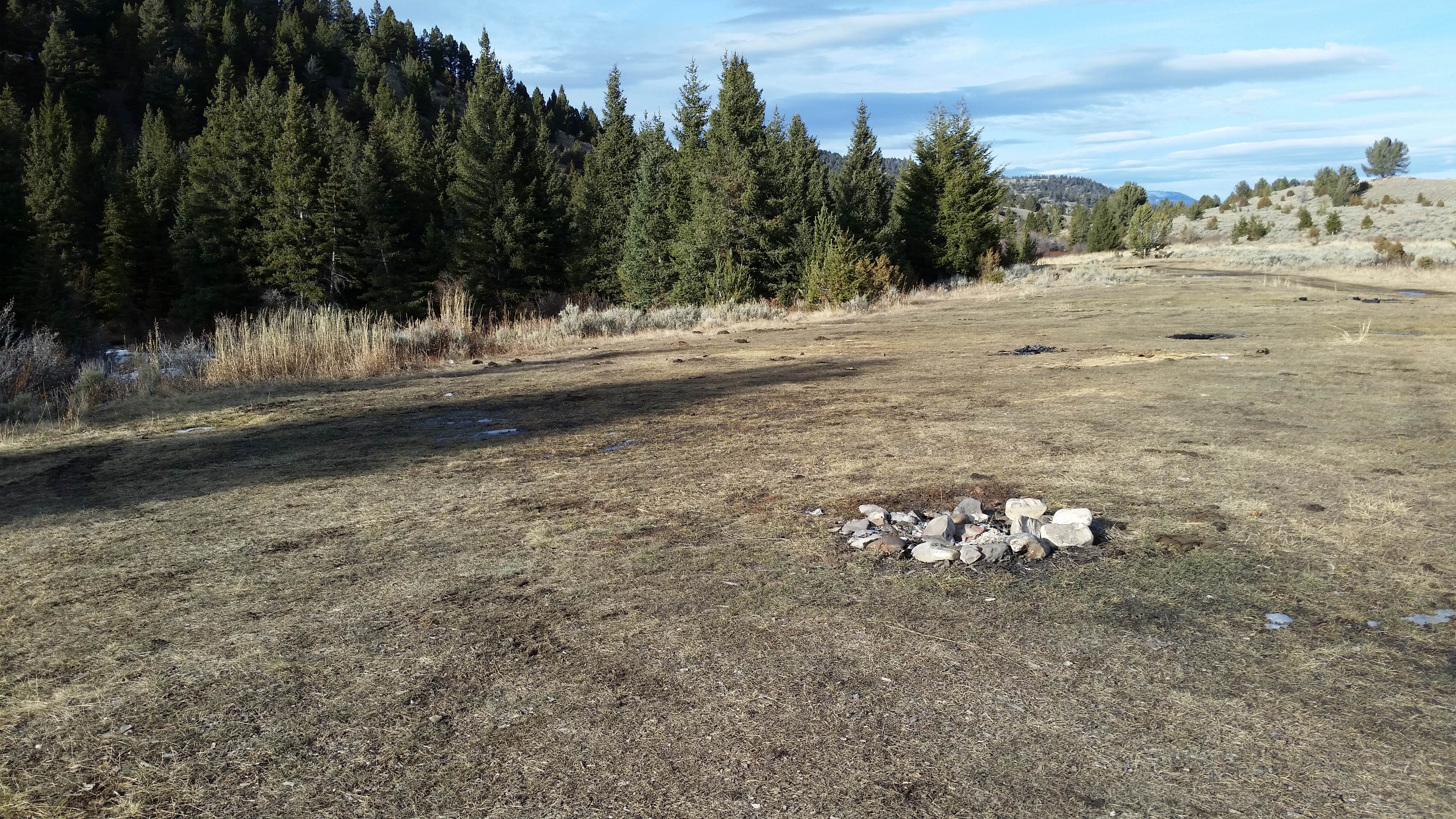 Camper-submitted photo at 6100M Dispersed Camping Area near Dillon, MT