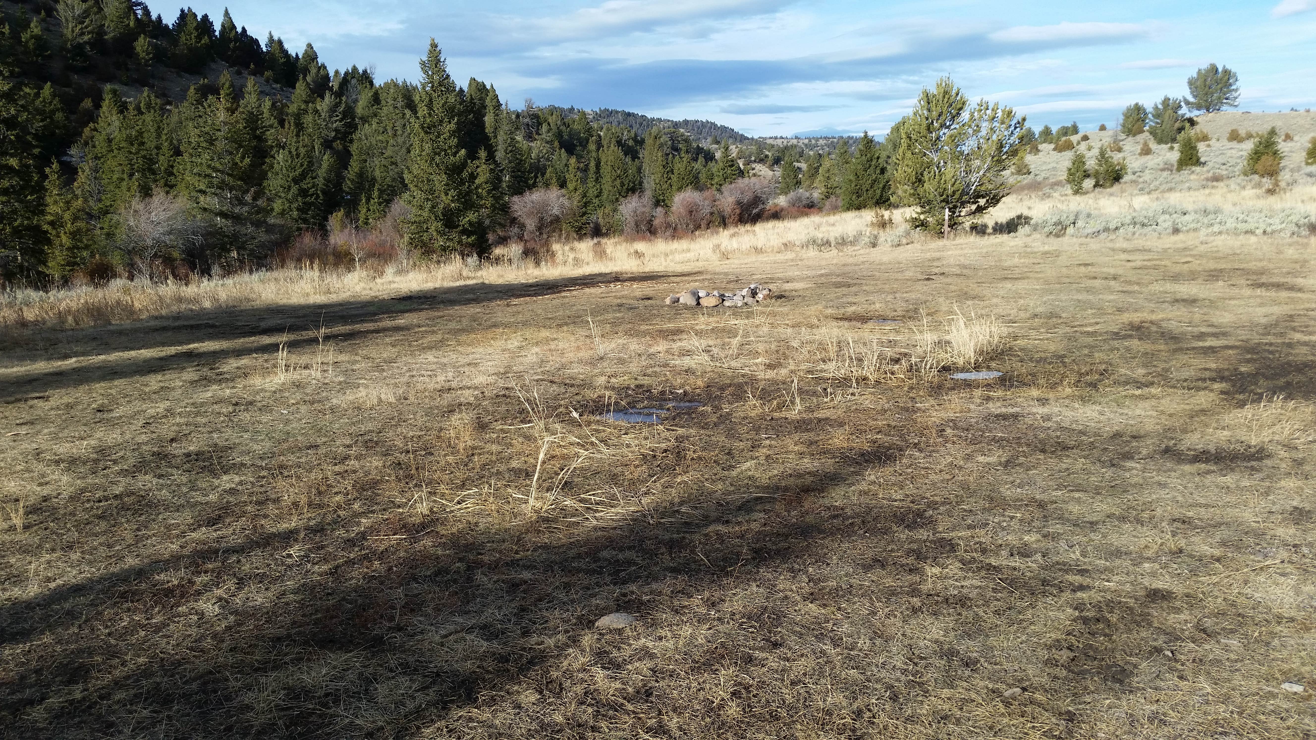Camper-submitted photo at 6100M Dispersed Camping Area near Dillon, MT
