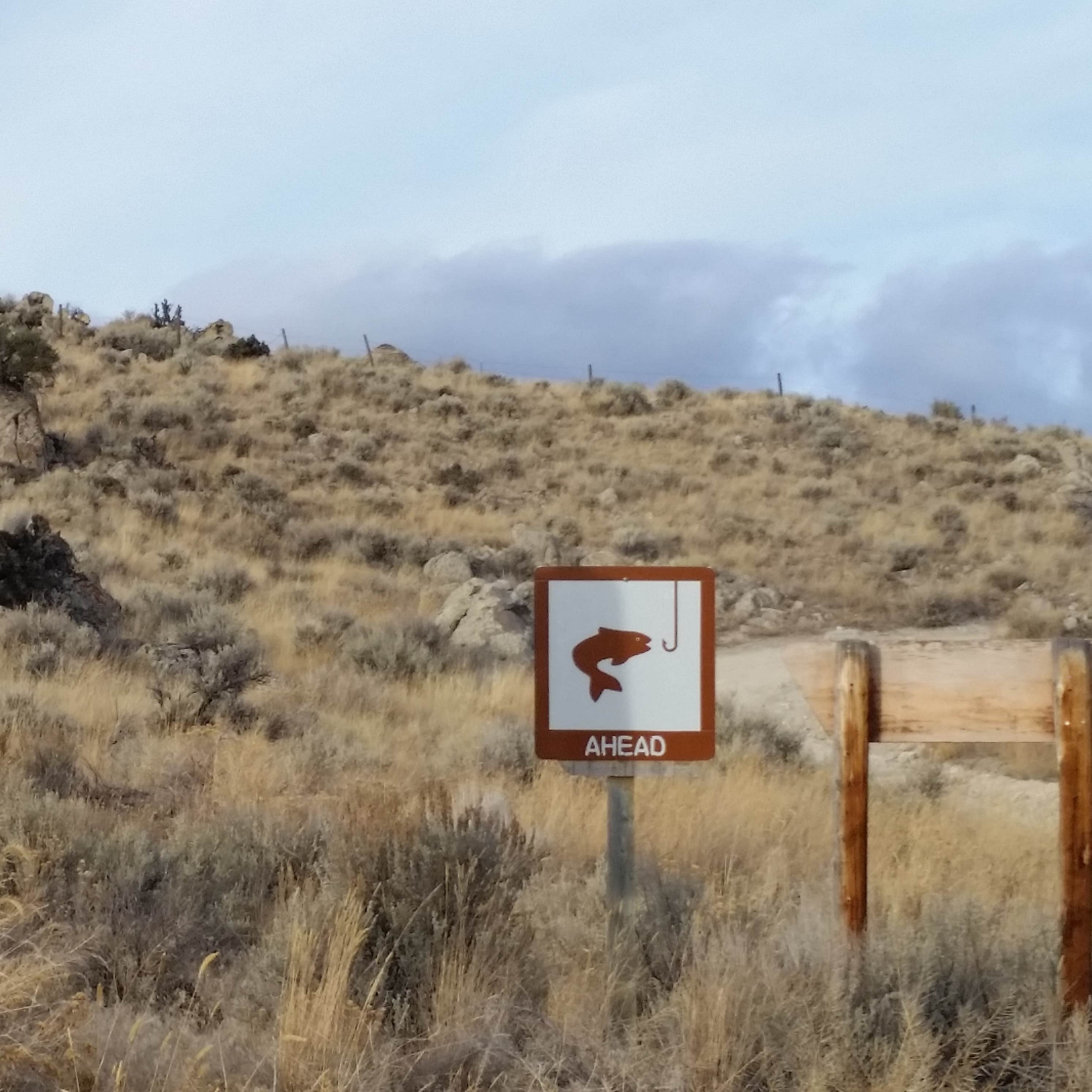 Maidenrock Camping The Dyrt