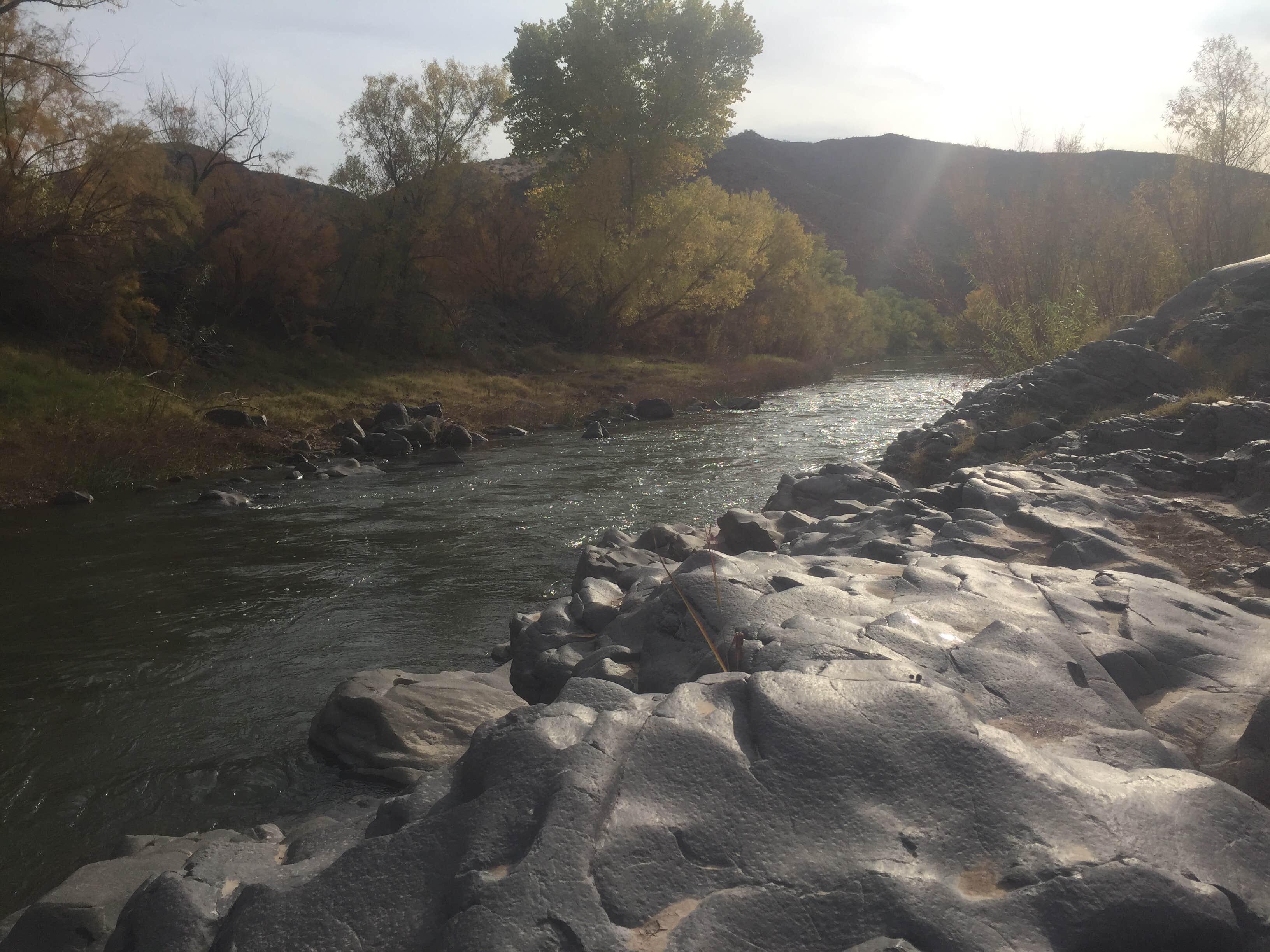 Camper-submitted photo at Riverview Campground near Safford, AZ