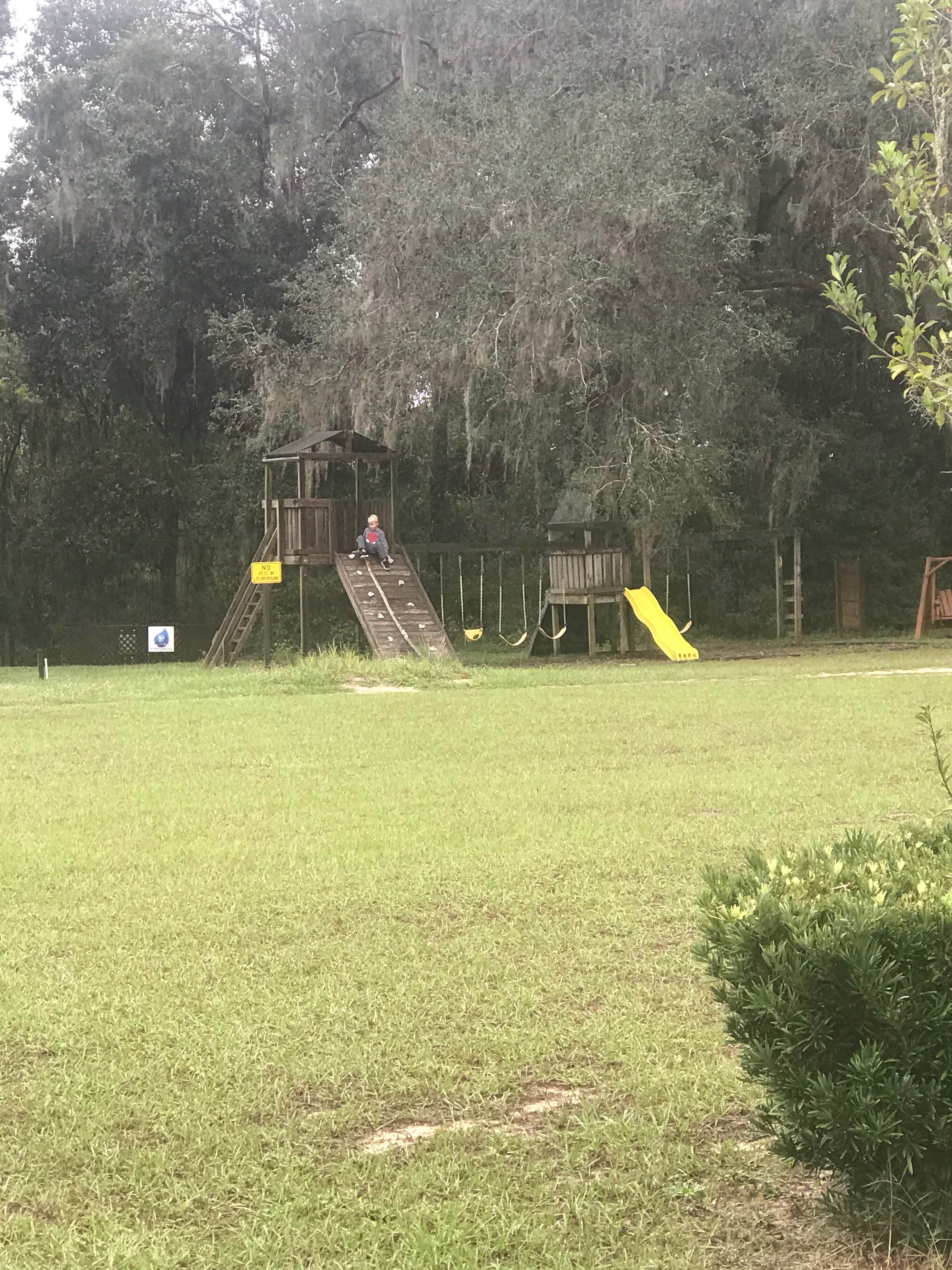 Camper submitted image from Lake Oklawaha RV Park - 3