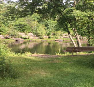 Camper-submitted photo from Riverview Campground — St. Croix State Park