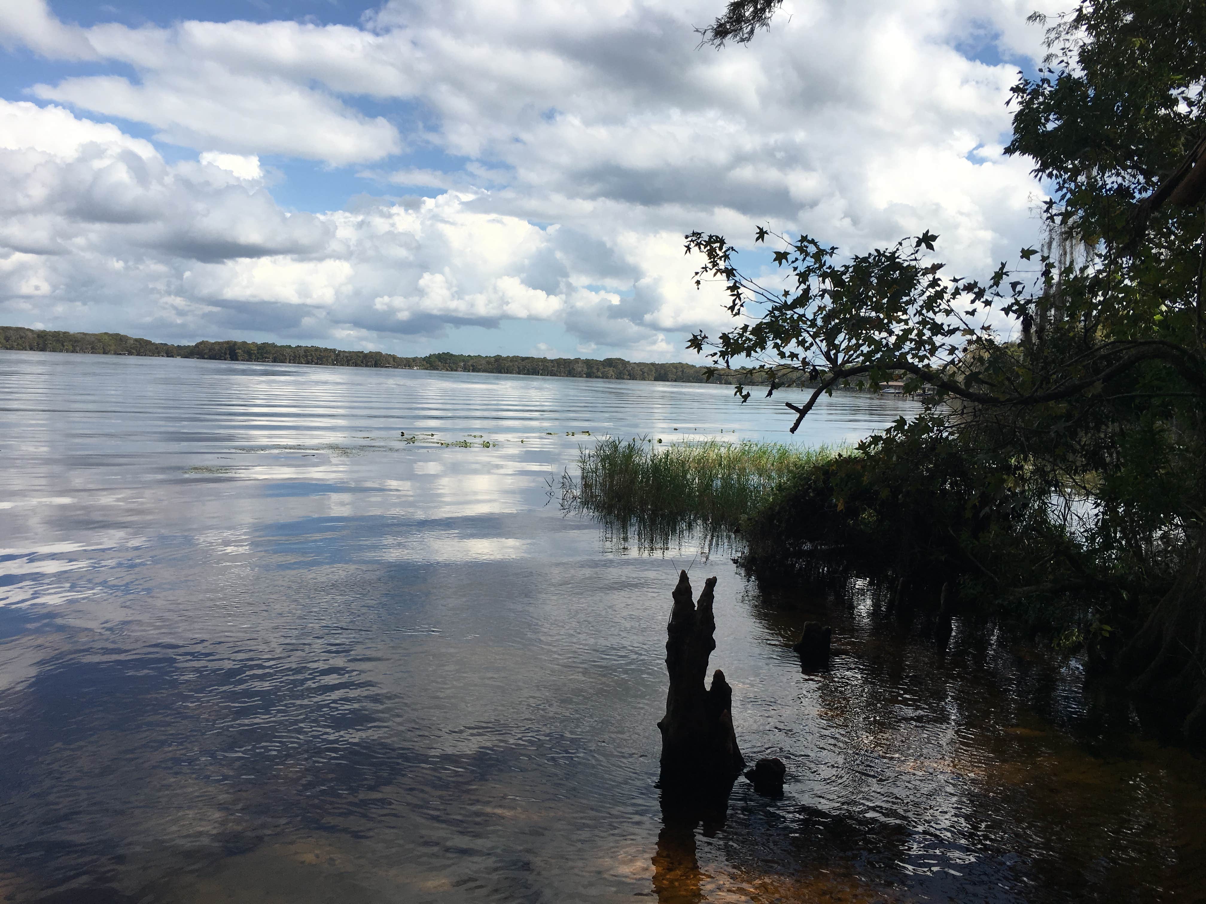 Camper-submitted photo at Lake Mills Park near Titusville, FL
