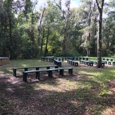 Review photo of Lake Mills Park by Tracy L H., November 18, 2019