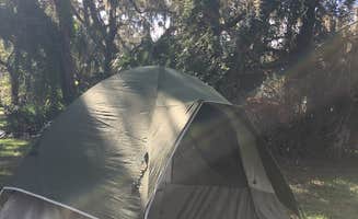 Tracy L H.'s photo of tent camping at Lake Mills Park near Ponce Inlet, FL