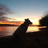 Review photo of Sand Hollow State Park Campground by Chelsea K., November 18, 2019