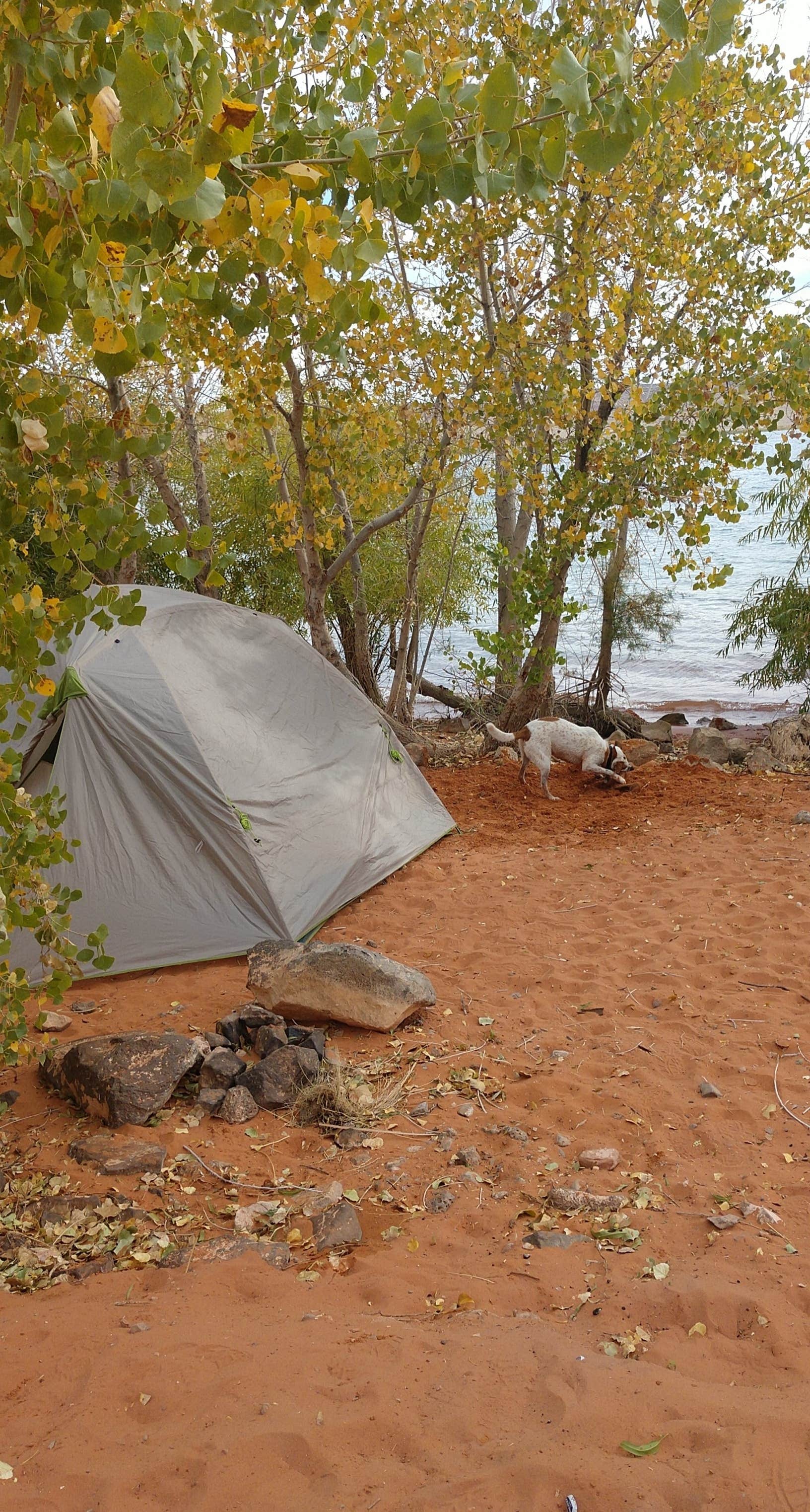 Chelsea K.'s photo at Westside Campground — Sand Hollow State Park near St. George, UT