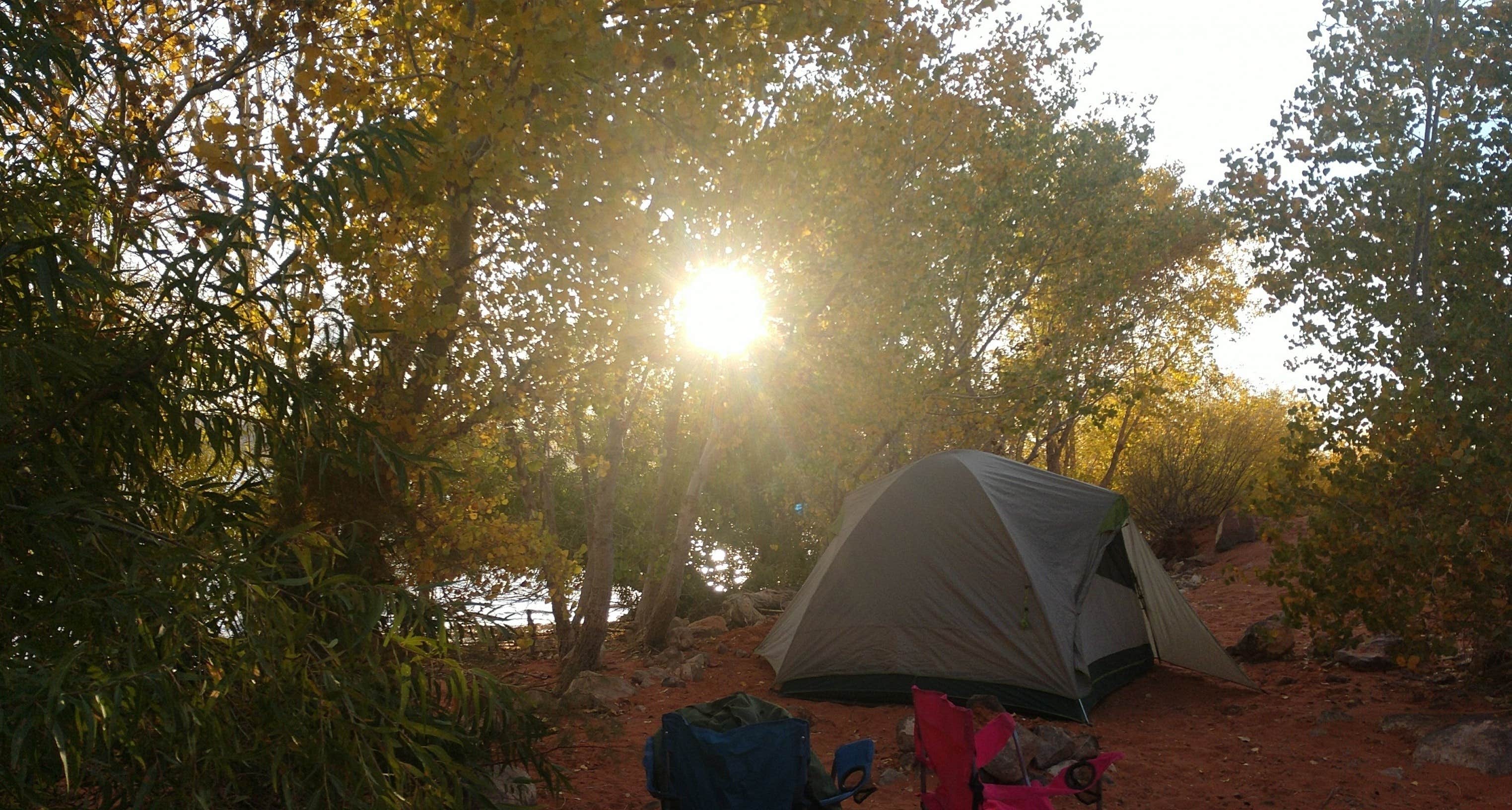 Chelsea K.'s photo at Westside Campground — Sand Hollow State Park near St. George, UT