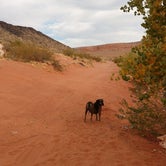 Review photo of Sand Hollow State Park Campground by Chelsea K., November 18, 2019