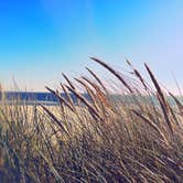 Review photo of South Beach State Park Campground by Carly M., August 22, 2017