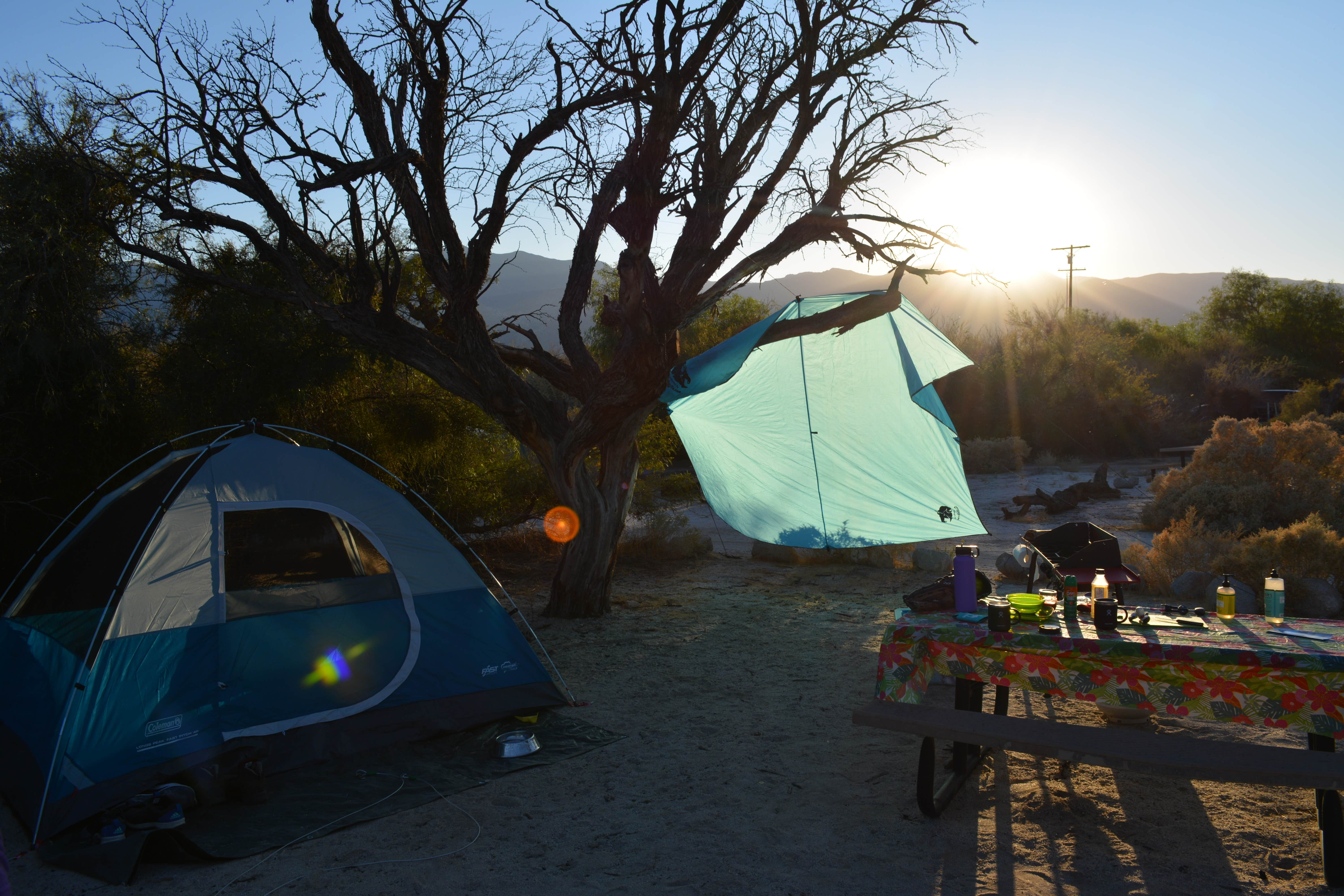 Camper-submitted photo at Vallecito County Park near Ranchita, CA