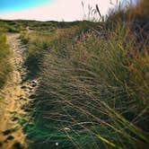 Review photo of South Beach State Park Campground by Carly M., August 22, 2017