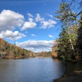 Review photo of Vogel State Park Campground by Repkha P., November 19, 2019
