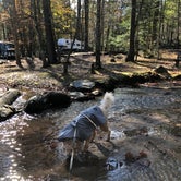 Review photo of Vogel State Park Campground by Repkha P., November 19, 2019