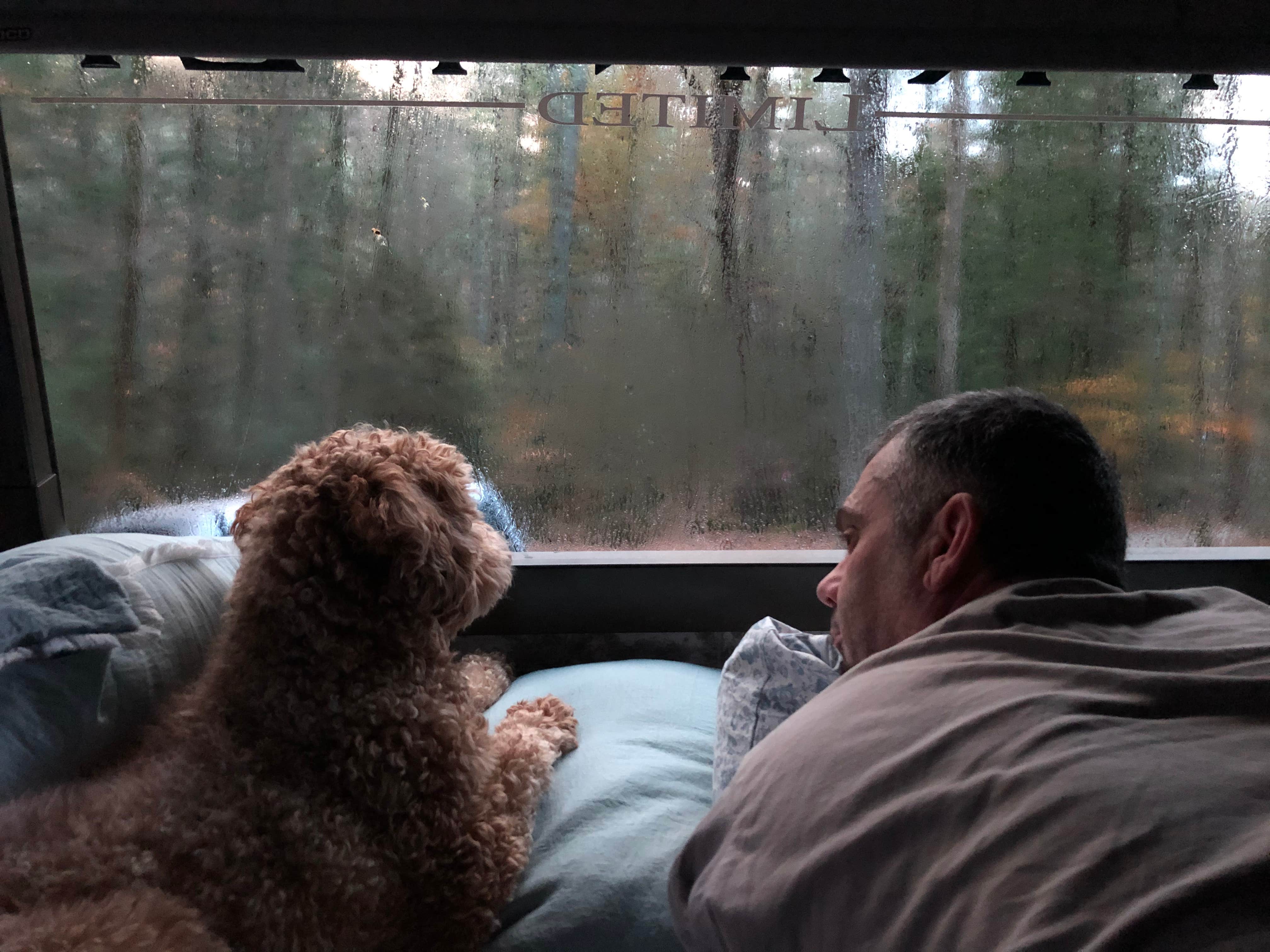 Repkha P.'s photo of camping with pets at Vogel State Park Campground near Chattahoochee-Oconee National Forest