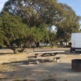 Review photo of North Beach Campground — Pismo State Beach by Berton M., November 19, 2019