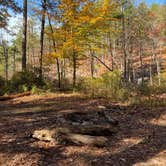 Review photo of Cheaha Falls Campground by Shana D., November 19, 2019