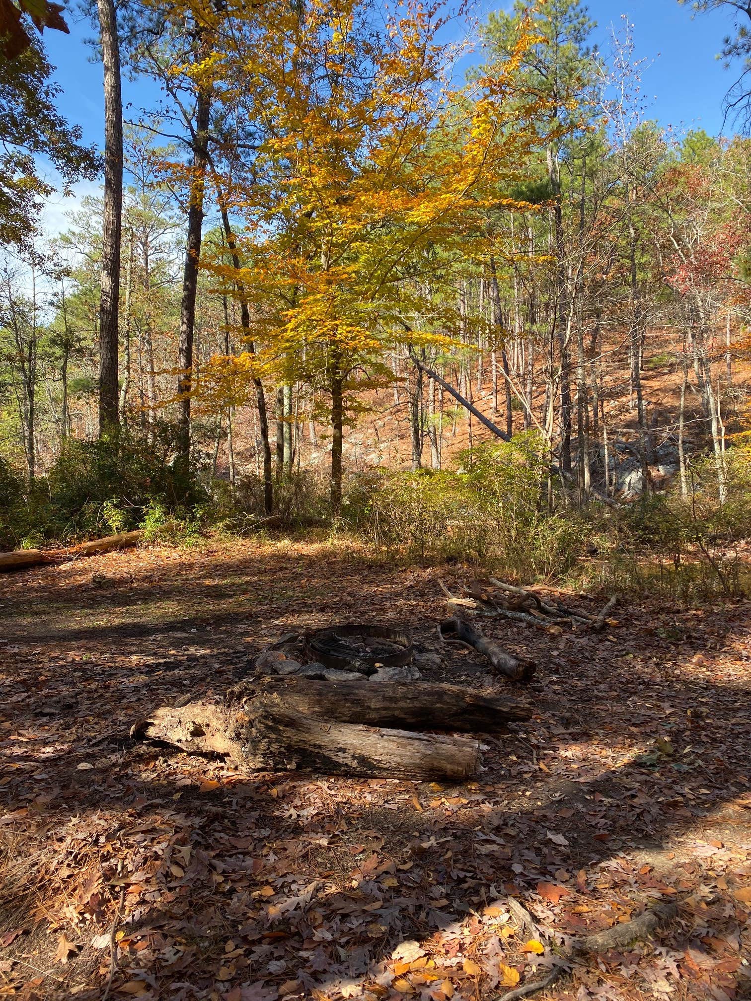 Camper submitted image from Cheaha Falls Campground - 3