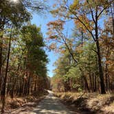 Review photo of Cheaha Falls Campground by Shana D., November 19, 2019