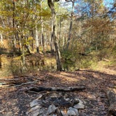Review photo of Cheaha Falls Campground by Shana D., November 19, 2019