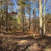 Review photo of Cheaha Falls Campground by Shana D., November 19, 2019