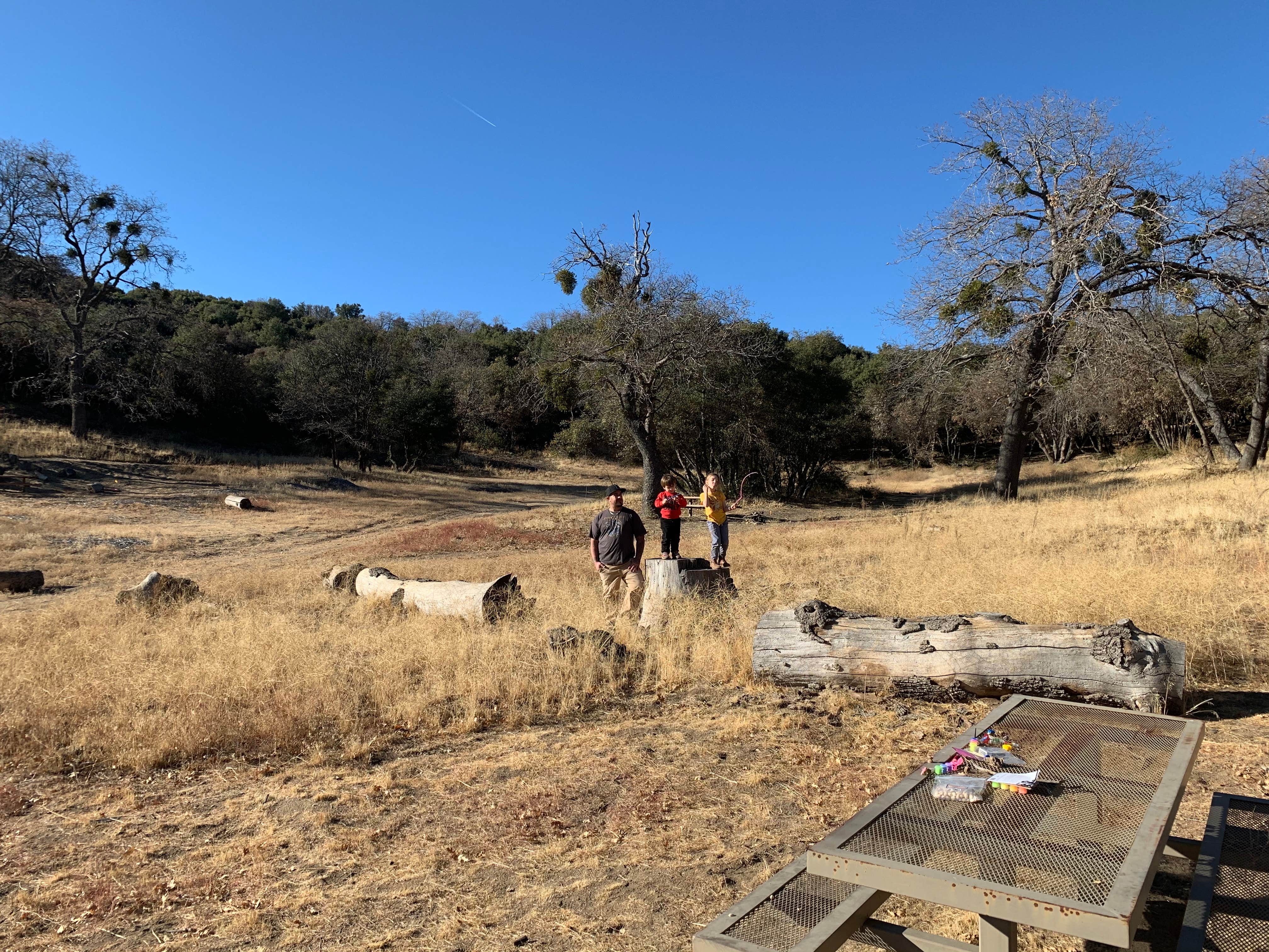 Camper submitted image from Angeles National Forest Bear Campground - 1